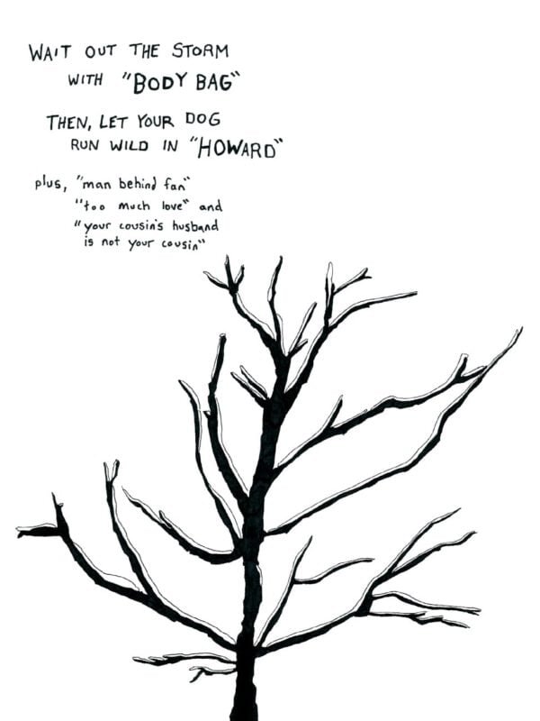 Back cover of "Body Bag" by T. Sean Steele. Wait out the storm with "Body Bag." Then, Let your dog run wild in "Howard." Plus, "Man behind fan," "Too much love," and "Your cousin's husband is not your cousin." Image: Black and white drawing of a bare tree with snow on the branches.