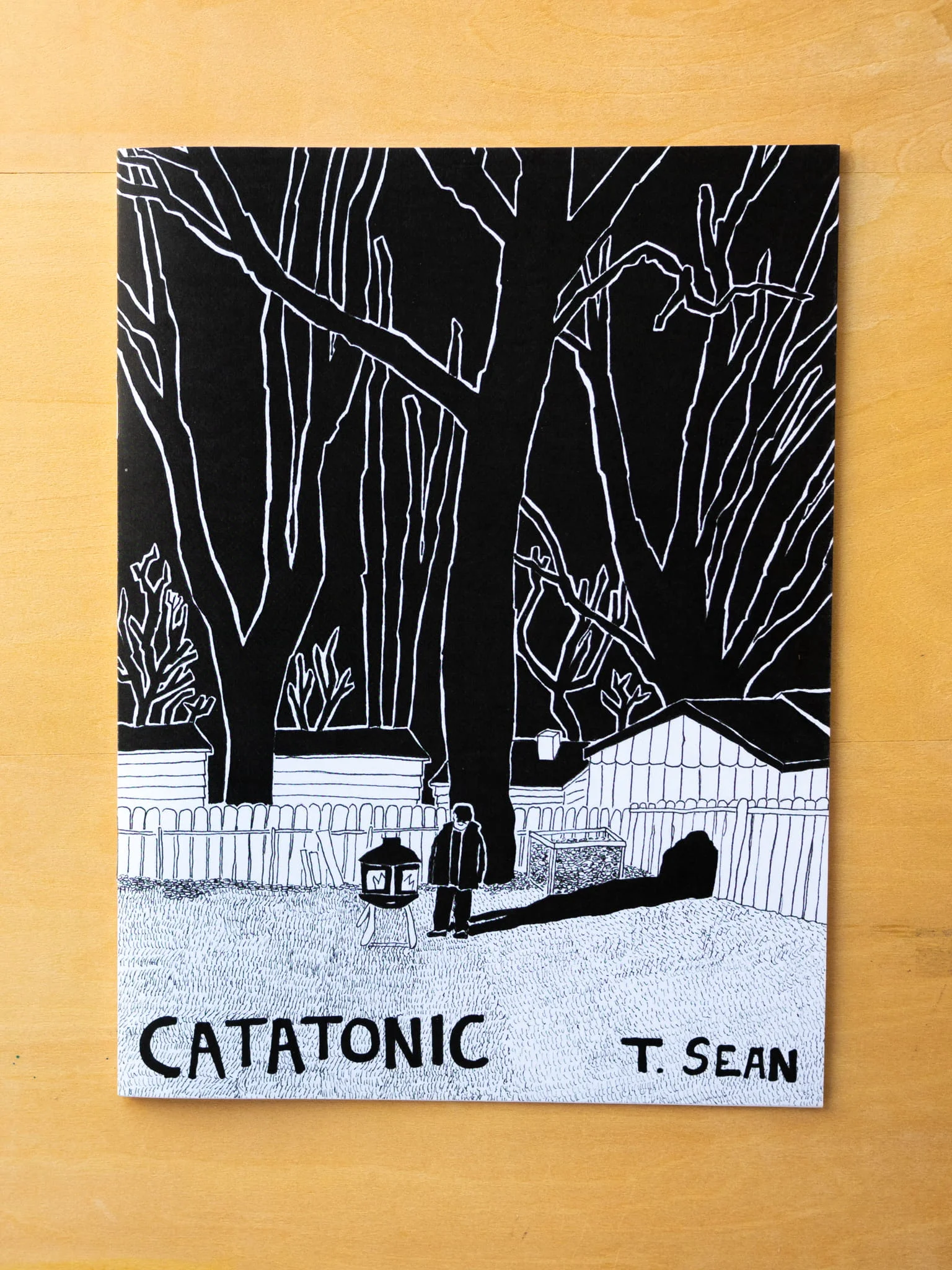 Catatonic Photo Photo of "Catatonic" by T. Sean Steele